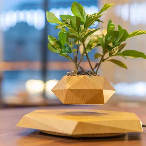 Magnetic Levitating Bonsai Wooden Floating Plant Magnetic Levitation Pots for Plants Levitating Flower Pot - Image 2