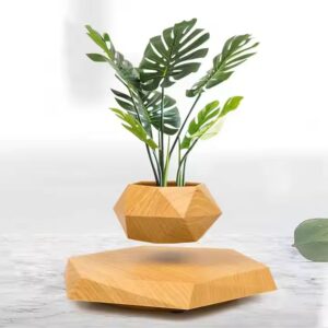 Magnetic Levitating Bonsai Wooden Floating Plant Magnetic Levitation Pots for Plants Levitating Flower Pot