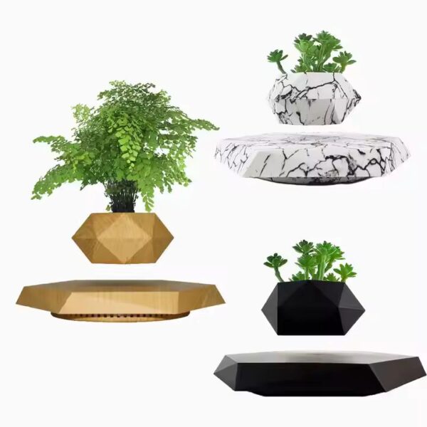 Magnetic Levitating Bonsai Wooden Floating Plant Magnetic Levitation Pots for Plants Levitating Flower Pot - Image 3